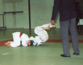 20030322_groen-blauw_c.jpg